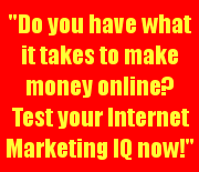 Test Your Internet Marketing I.Q.